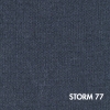 Storm 77