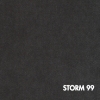 Storm 99